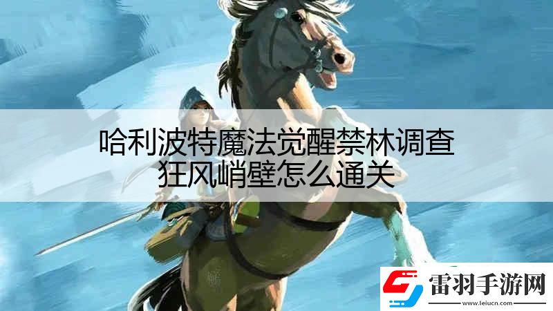 哈利波特魔法覺醒禁林調查狂風峭壁怎么通關
