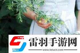 女生流出白白的東西怎么回事：健康預警與保養建議，全面解答你的疑問！