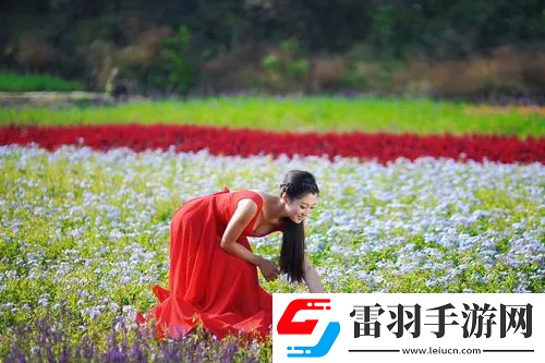 紅塵影院手機在線觀看：高質量內容和流暢播放體驗，熱門影片推薦與觀影指南！
