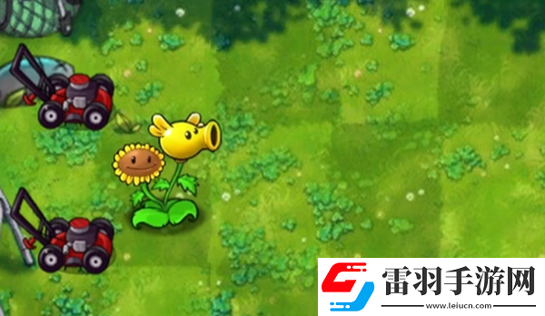 植物大戰僵尸融合版向日葵豌豆有什么用