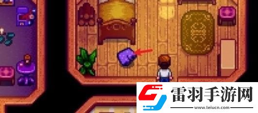 星露谷物語鎮長紫色短褲位置在哪
