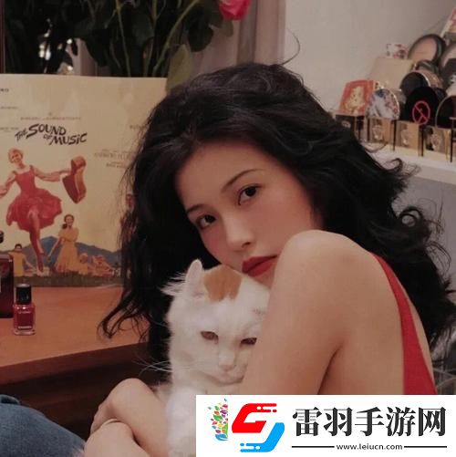 國外免費SVN