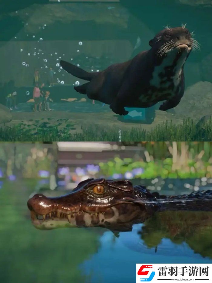 動物園之星水生包有什么動物