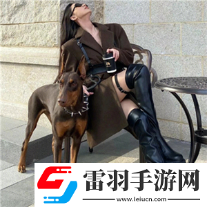 layuiadmin源碼免費