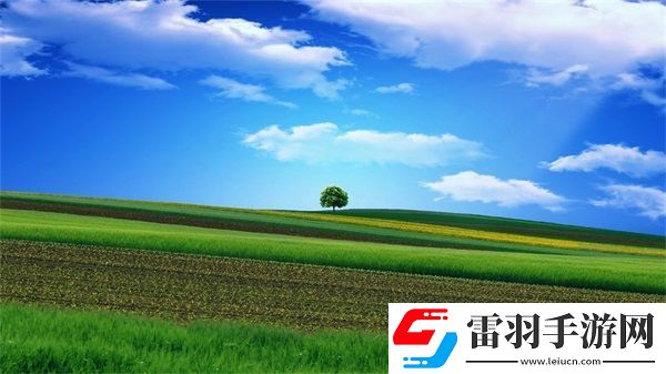 歐產日產國產水蜜桃