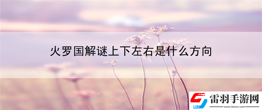 火羅國(guó)解謎上下左右是什么方向