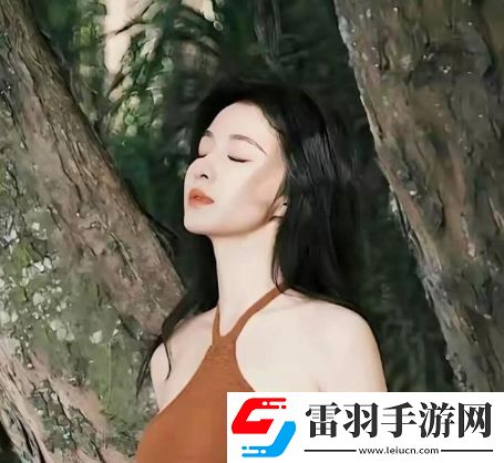 寶可夢朱紫dlc有新的地區嗎