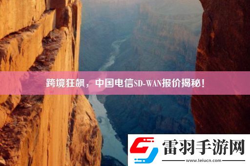 跨境狂飆中國電信SDWAN報價揭秘！