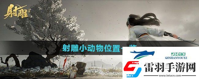 射雕小動物在哪