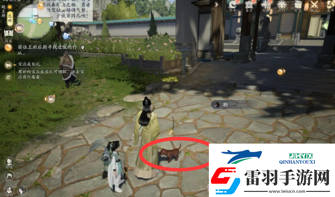 射雕小動物在哪