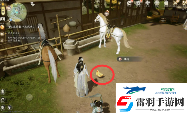 射雕小動物在哪