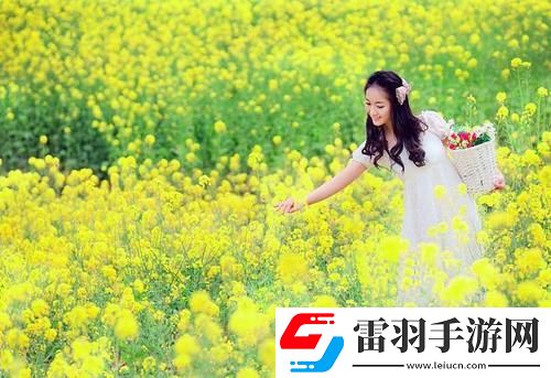 國內(nèi)永久免費(fèi)crm免費(fèi)9527